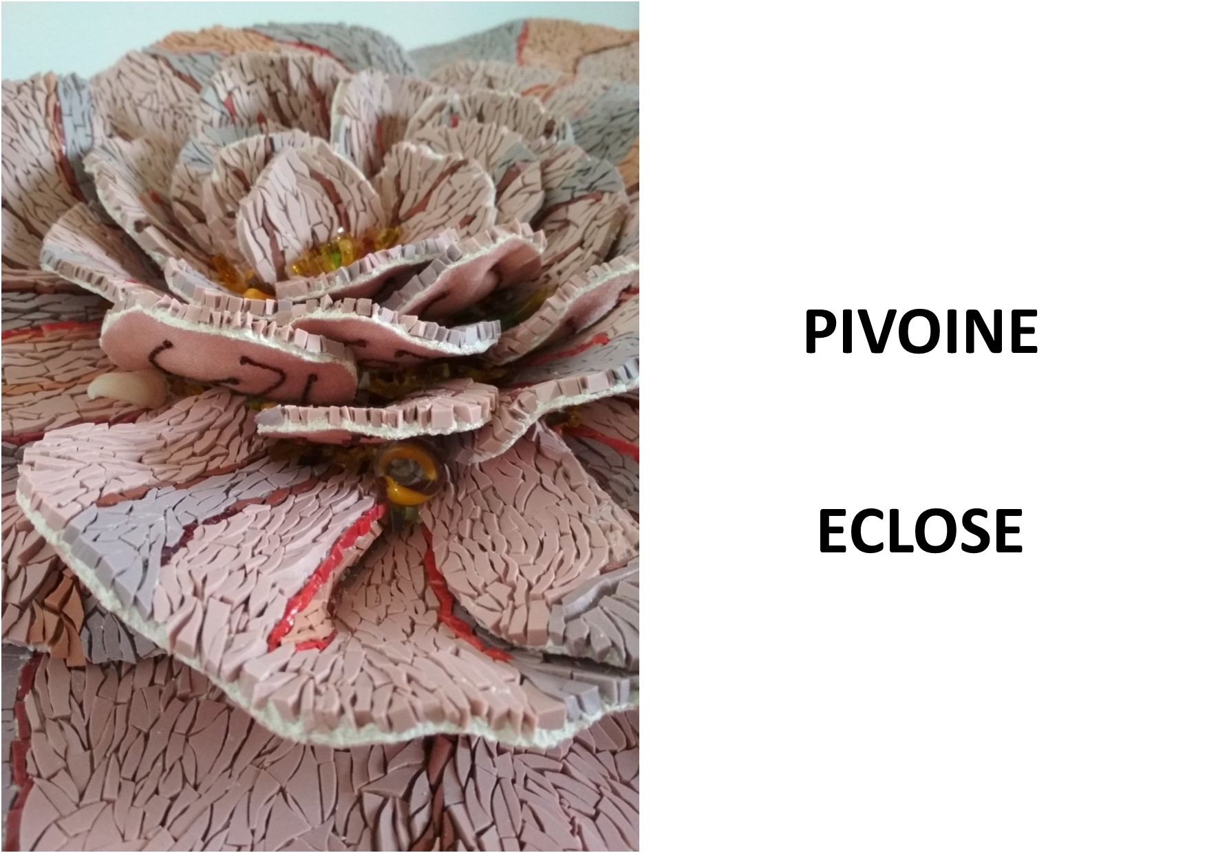 25.PIVOINE ECLOSE.jpg